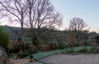 common tree diseases Devon