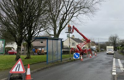 tree removal near houses