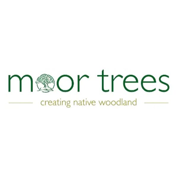 moor trees