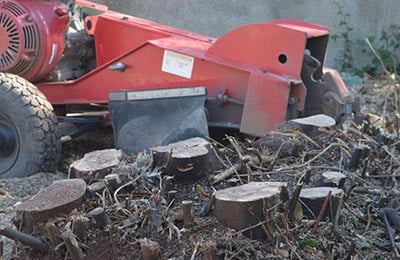 stump grinder