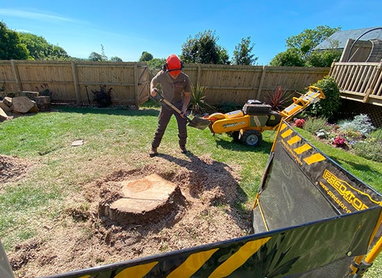 stump-removal-4